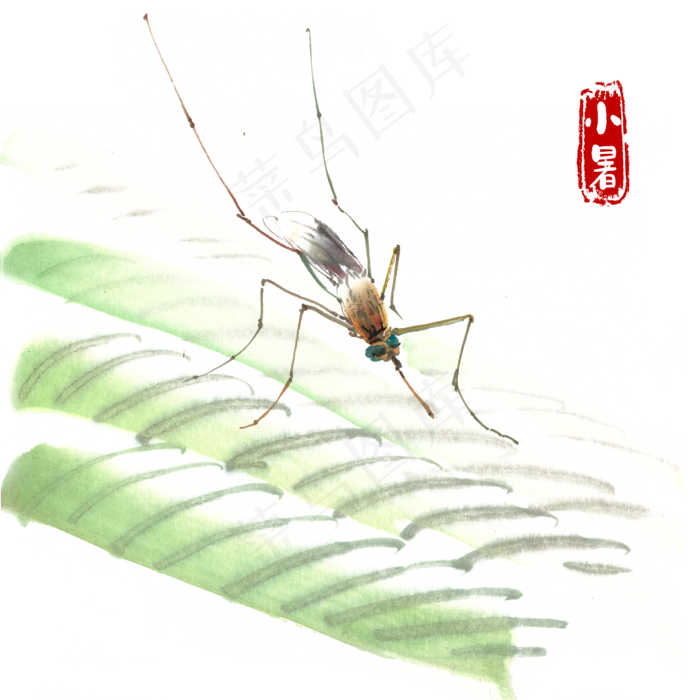 小暑芭蕉叶上的昆虫(4724X4724(DPI:300))psd模版下载
