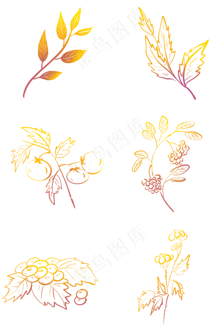 烫金植物和果实,免抠元素(2000X3020(DPI:299))psd模版下载