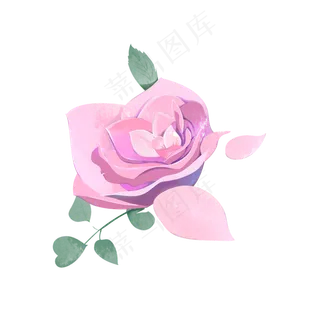 手绘水彩粉红色玫瑰花浪漫节日植