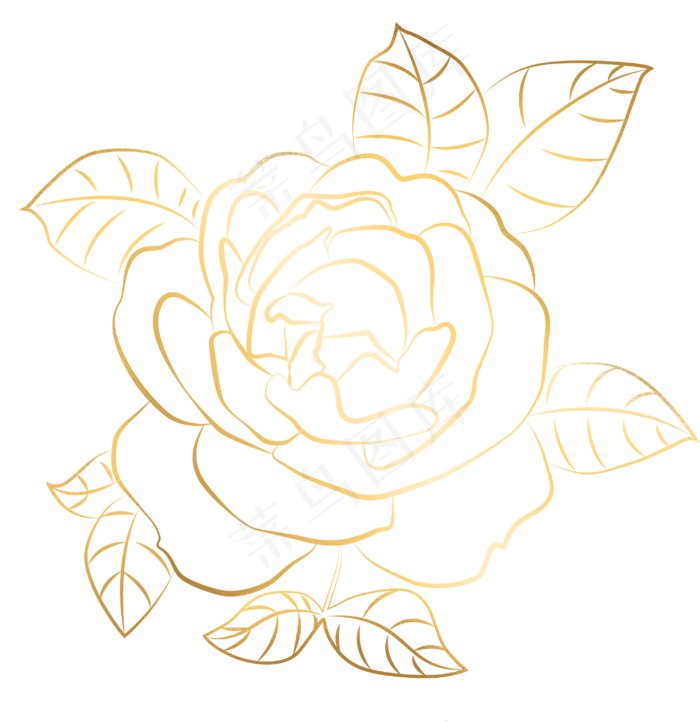 烫金线条感玫瑰花(2909X3000(DPI:300))psd模版下载