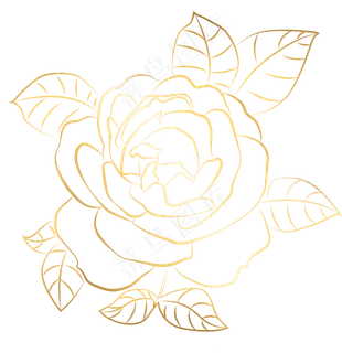 烫金线条感玫瑰花