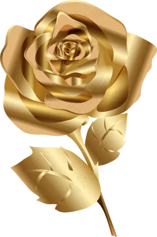 金色玫瑰装饰元素