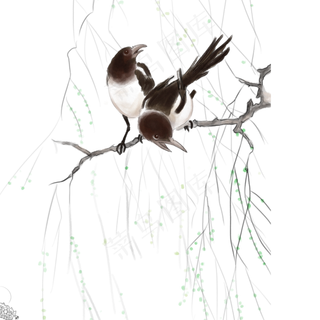 一组精美漂亮个性鸟的彩绘免扣素,免抠元素