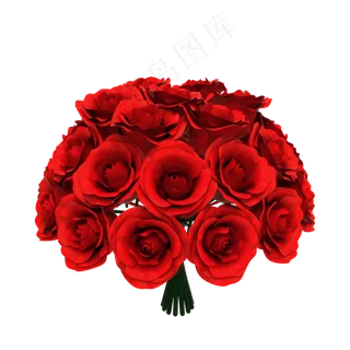 红色玫瑰花
