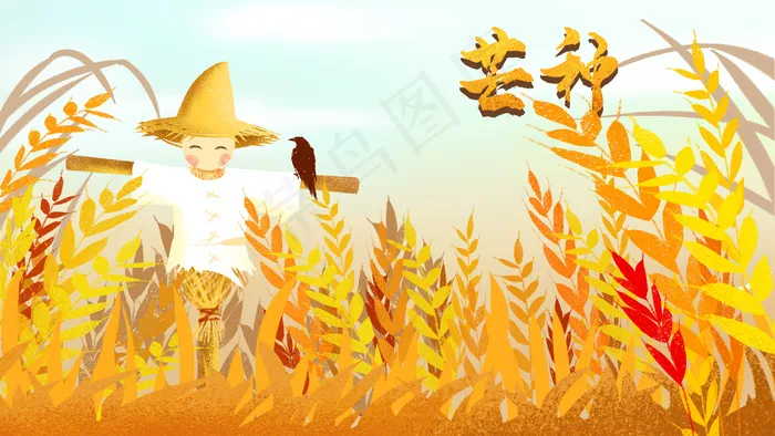 二十四节气芒种稻草人和麦穗
