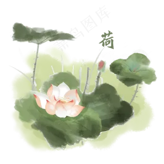 古风植物荷花素材