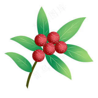 写实杨梅手绘装饰图案