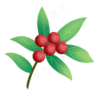 写实杨梅手绘装饰图案