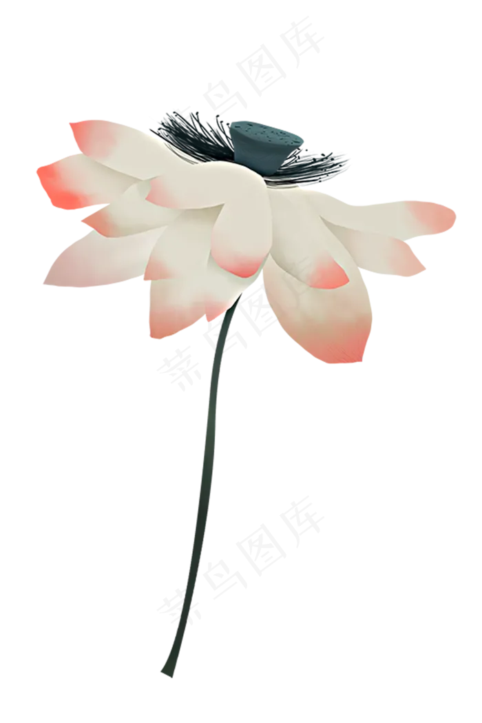 工笔画荷花(1000X1499(DPI:72))psd模版下载