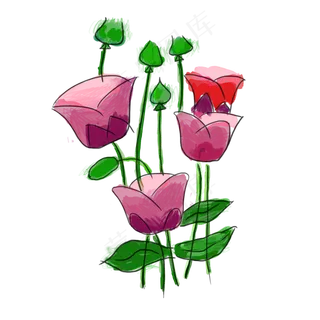 手绘花卉PNG元素