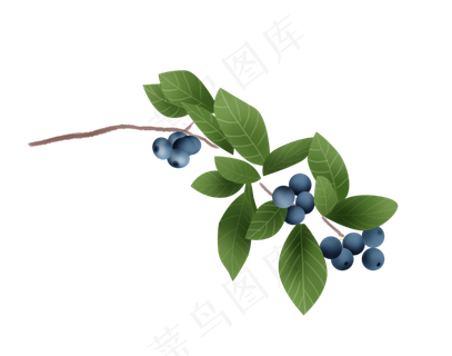 手绘蓝莓素材 手绘蓝莓素材