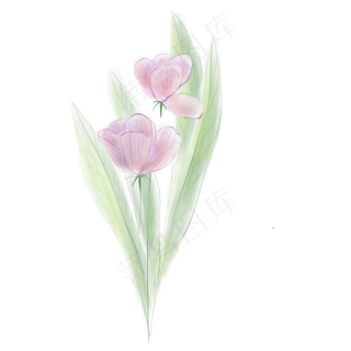 淡粉花卉和叶子