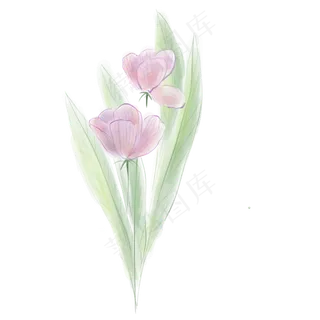 淡粉花卉和叶子