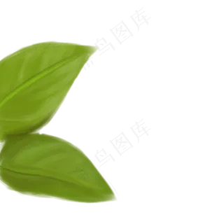 卡通绿色叶子下载