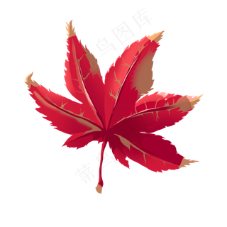 红色树叶图案插图,免抠元素