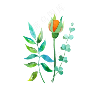 矢量手绘水彩花朵