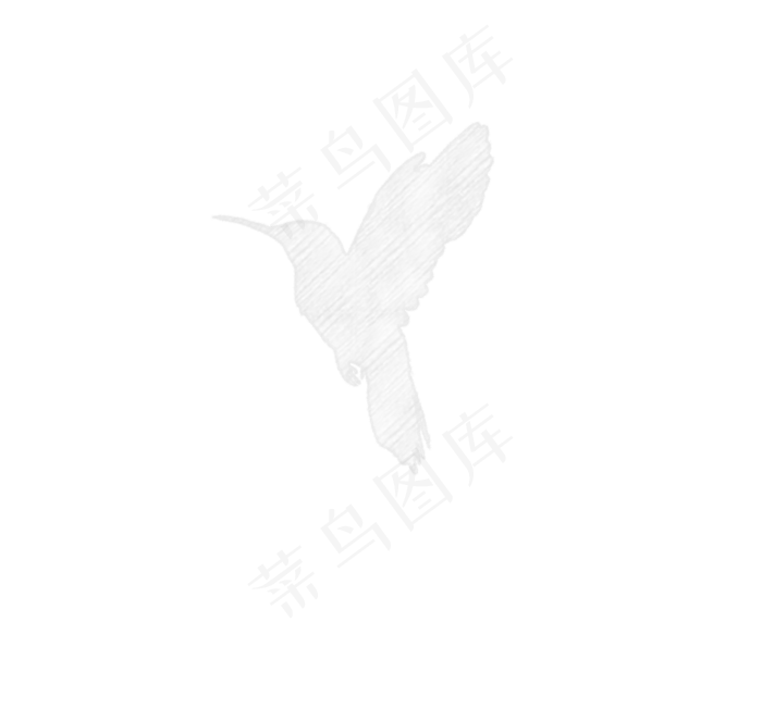 白色小鸟剪影
