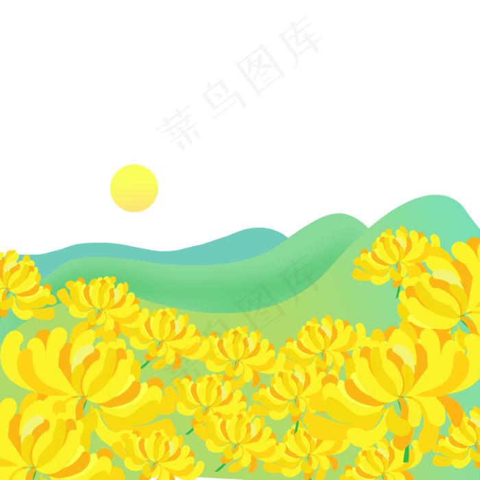 九九重阳节菊花(3000X3000(DPI:300))psd模版下载