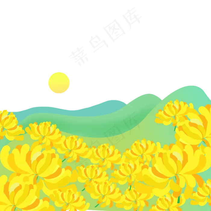 九九重阳节菊花(3000X3000(DPI:300))psd模版下载