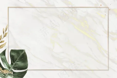 具有龟背竹叶背景的矩形金框