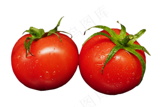 新鲜蔬菜西红柿