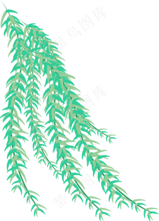 清明节垂摆的柳树