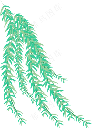 清明节垂摆的柳树