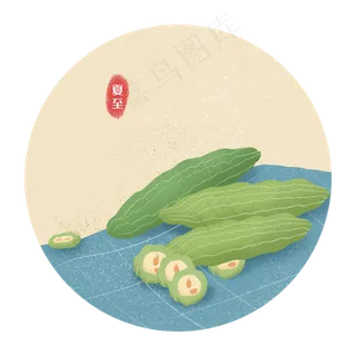 夏至二十四节气夏天苦瓜