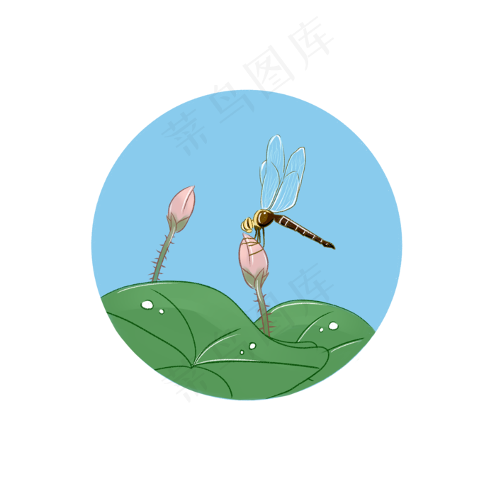 24节气之处暑清新蜻蜓荷叶