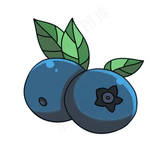 新鲜有机水果蓝莓