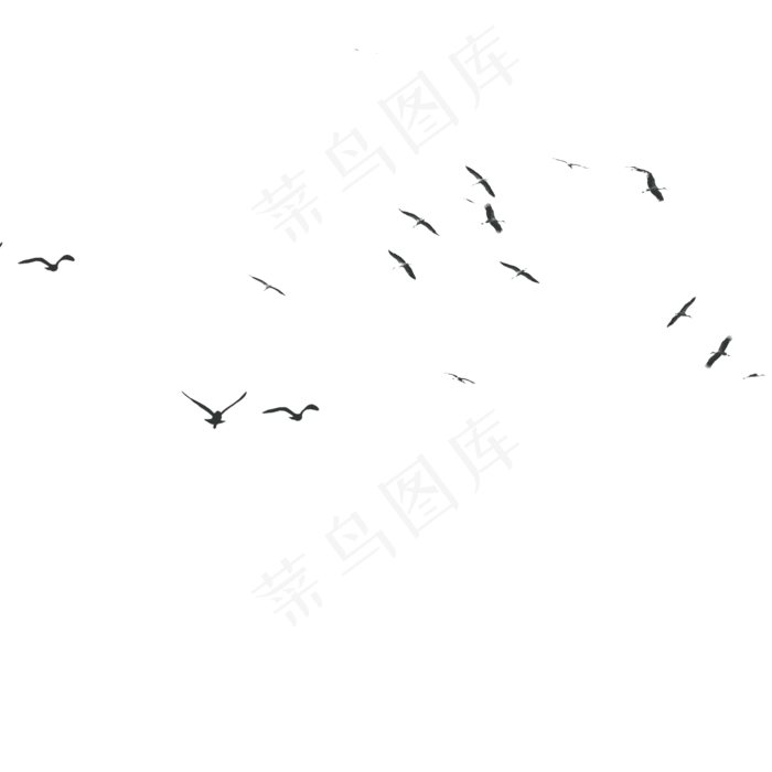 卡通鸟PNG下载,免抠元素