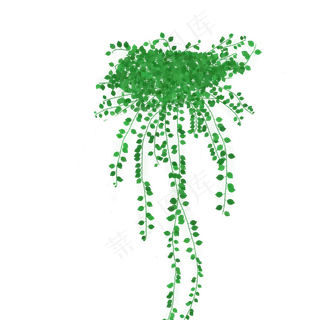 绿藤藤蔓装饰春天,免抠元素