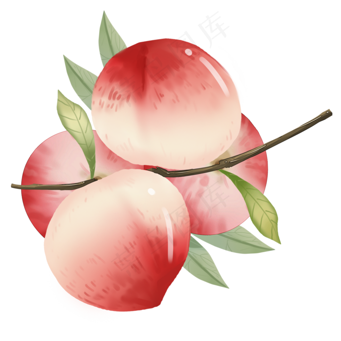新鲜果实水蜜桃(2100X2100(DPI:300))psd模版下载