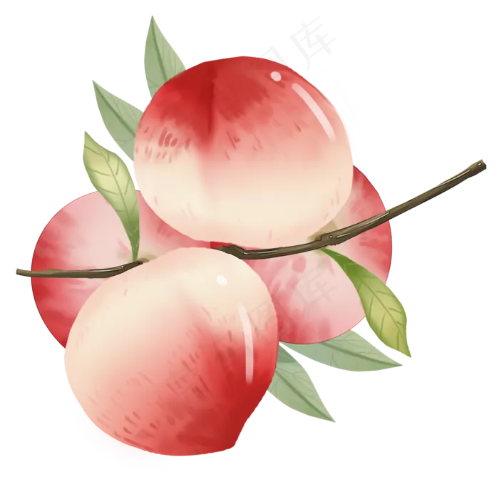新鲜果实水蜜桃(2100X2100(DPI:300))psd模版下载