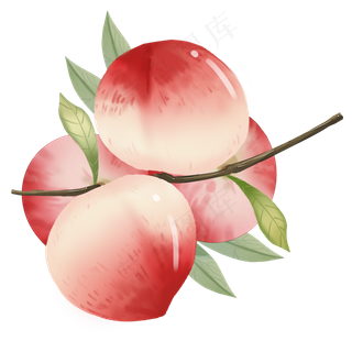 新鲜果实水蜜桃