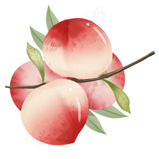 新鲜果实水蜜桃 新鲜果实水蜜桃