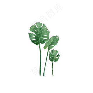 水彩风龟背竹免抠