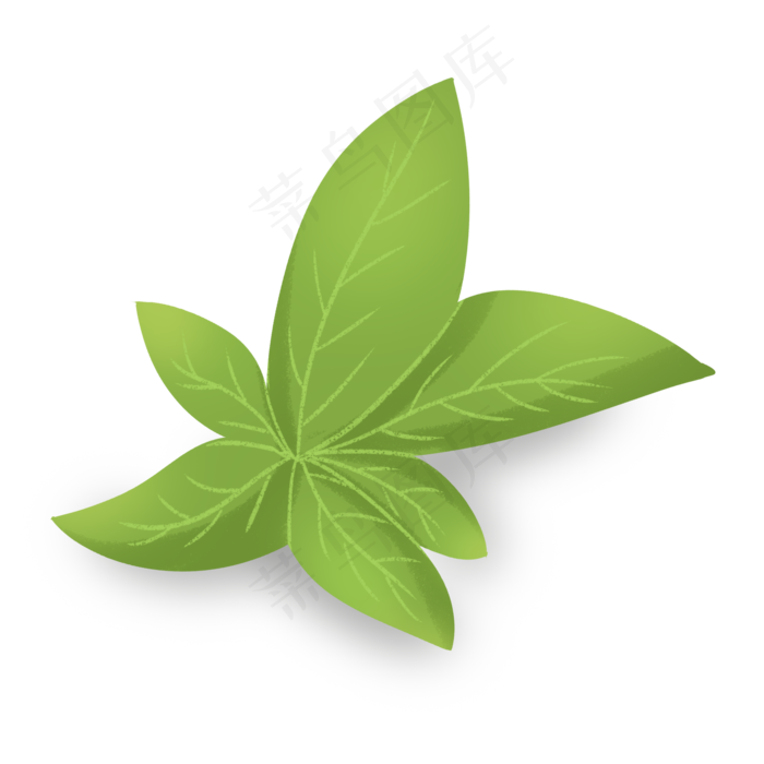 绿色手绘可爱夏季薄荷叶子