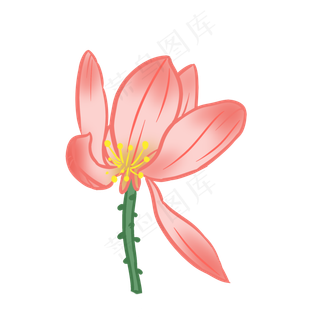 荷花开手绘装饰图案