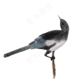卡通手绘中国风水彩喜鹊免抠png