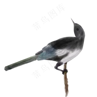 卡通手绘中国风水彩喜鹊免抠png