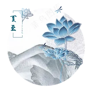 中国风夏至荷花荷叶