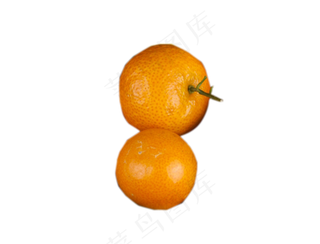好吃的水果新鲜的橘子