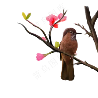 古典中国风花鸟麻雀矢量图,免抠元素