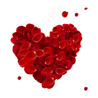 免扣情人节心形玫瑰花瓣