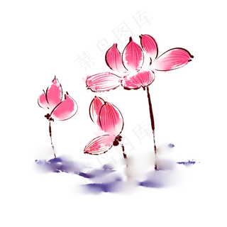 中国风荷花莲花