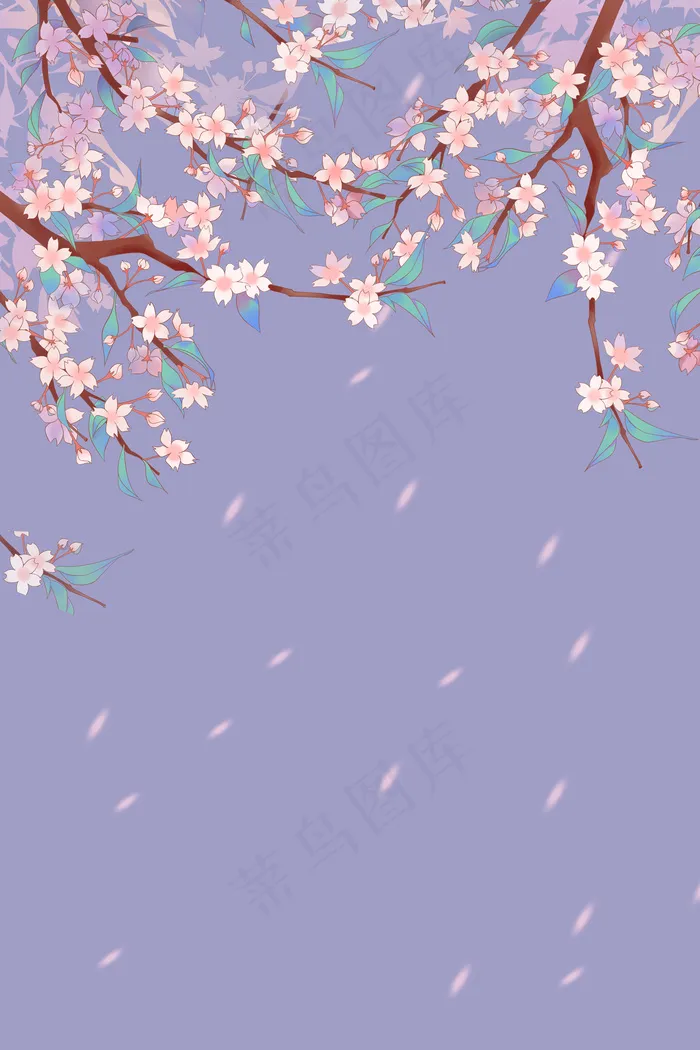 樱花节桃花节春季公园花卉风景