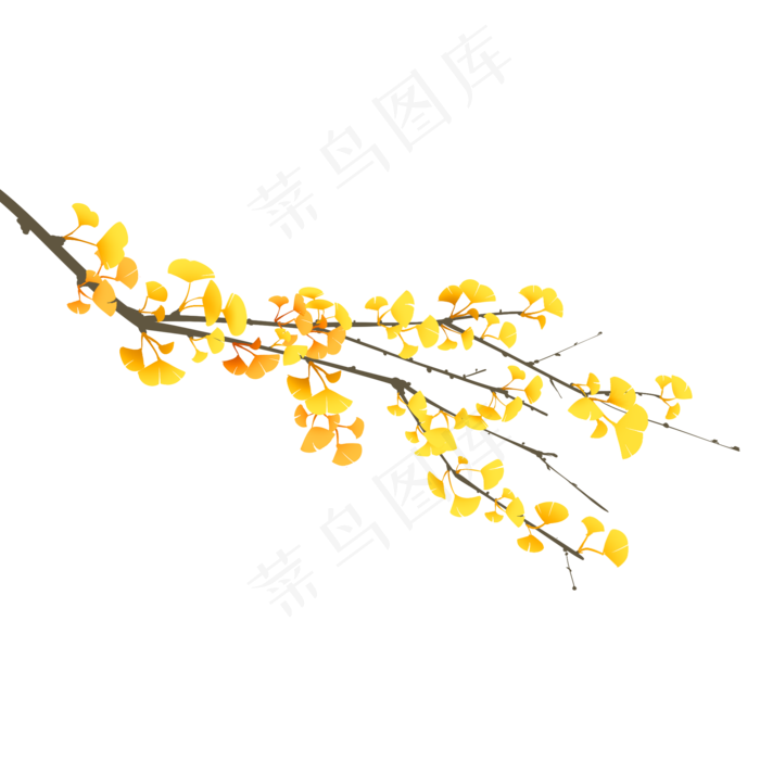 黄色银杏叶树枝,免抠元素