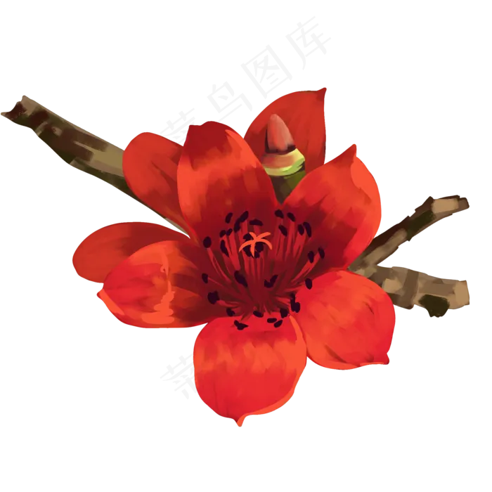 红色花开木棉花(2000X2000(DPI:300))psd模版下载