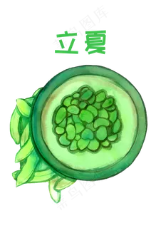 立夏夏天扁豆胡豆绿色食物夏日食